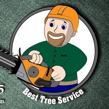 Best Tree Service LLC